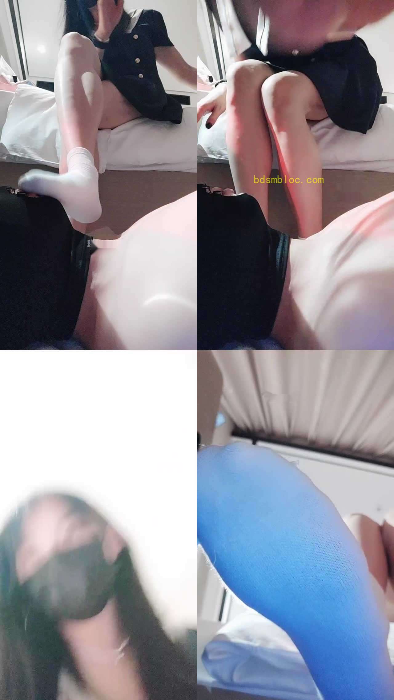 【糖糖老师】深圳调狗