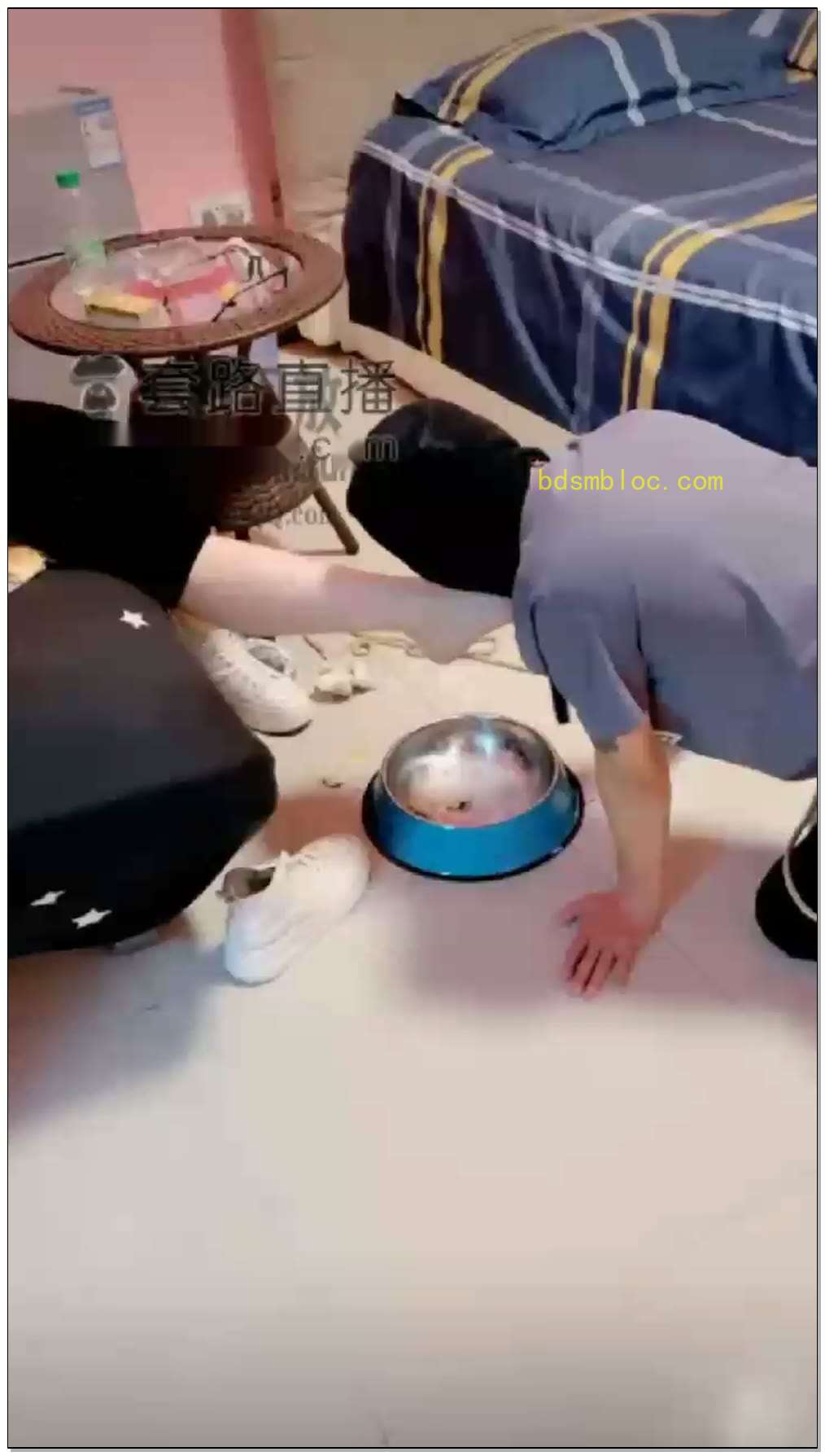 【夏娃】全体重吃食，鞭打，提档，羞辱，烟灰缸