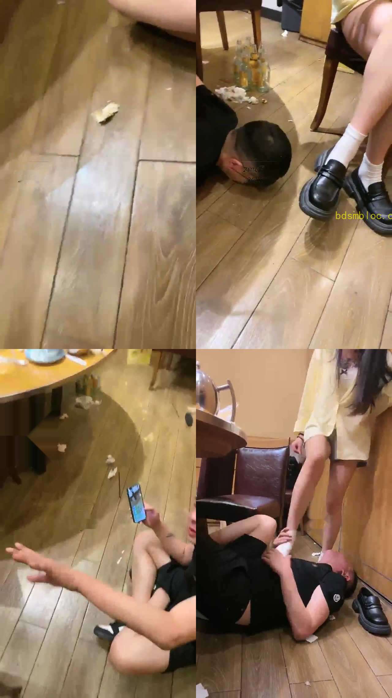 【少司缘】调教文文