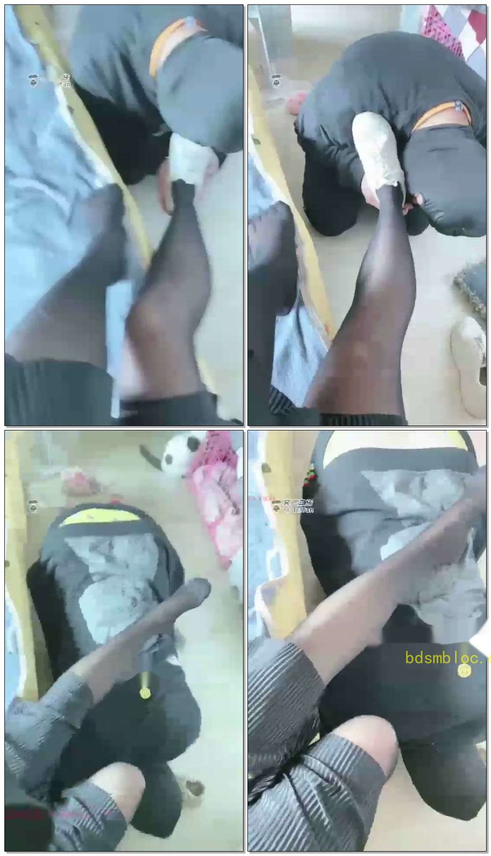 【冷hearT】贱狗犯贱找羞辱舔黑丝舔鞋底