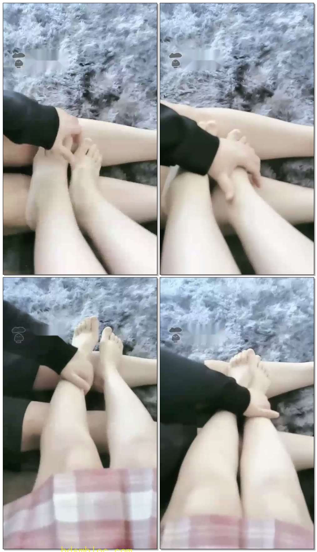 【苏恩S】狗狗陪播