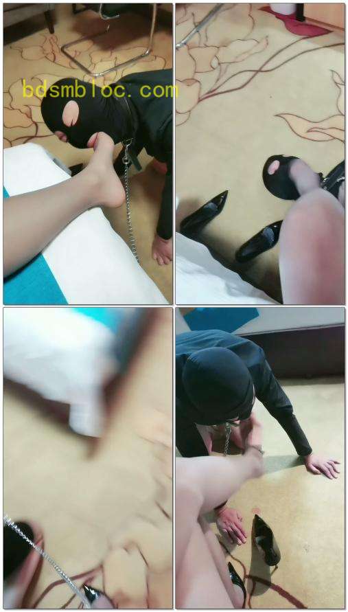 【庆阳】虐狗口水圣水