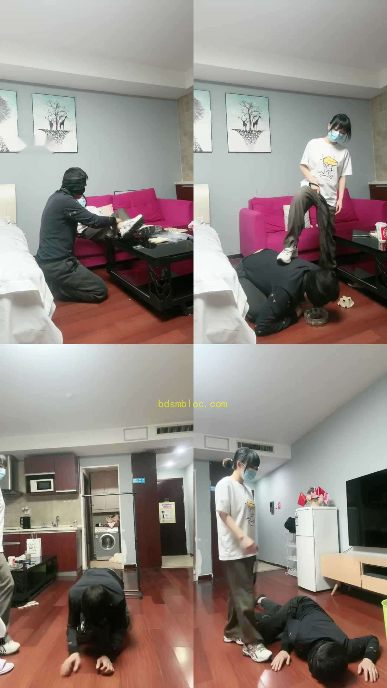 【北京奈米S】皮鞭抽狗打到爬不起来