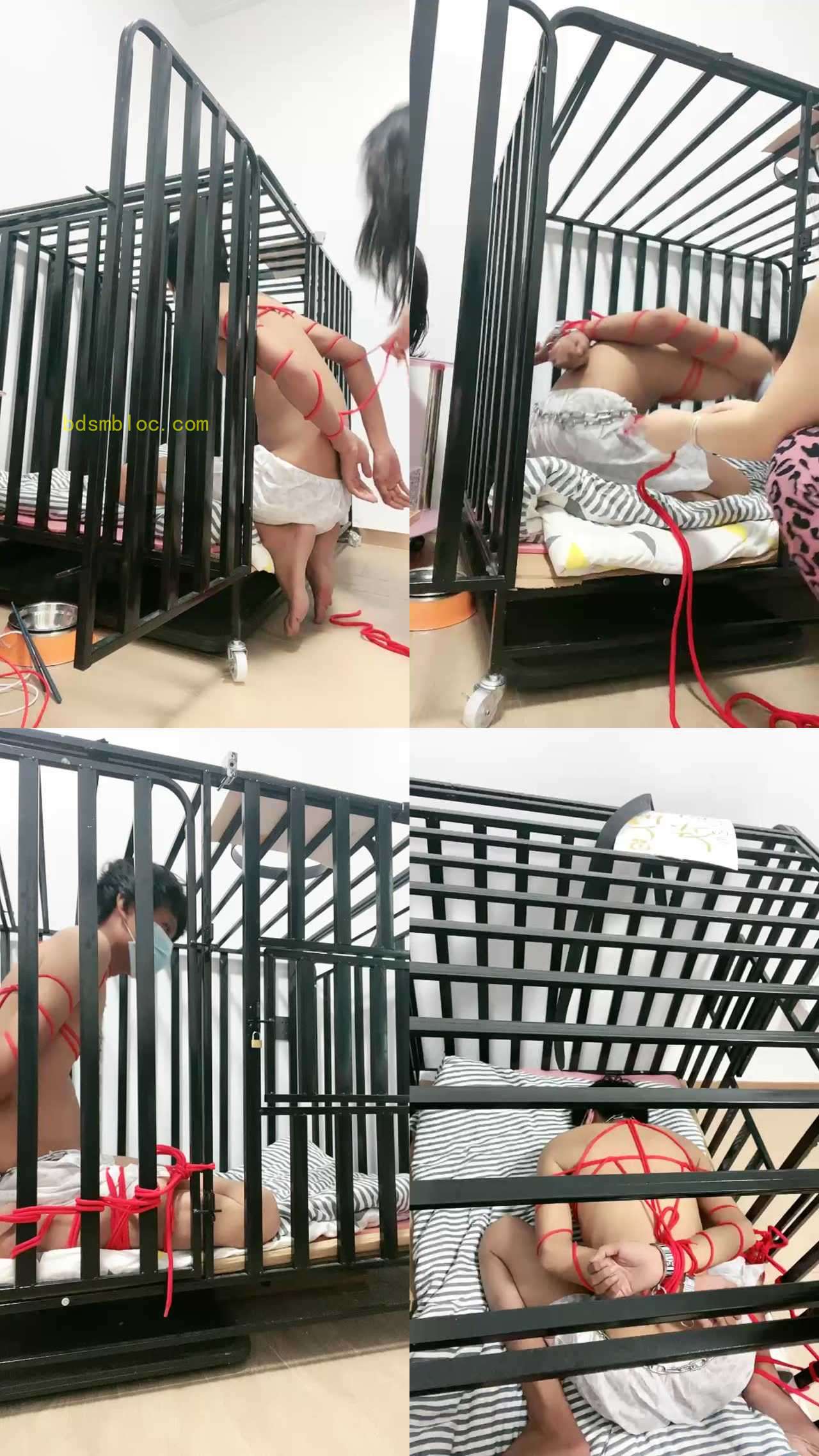 【薇薇】狗笼调狗