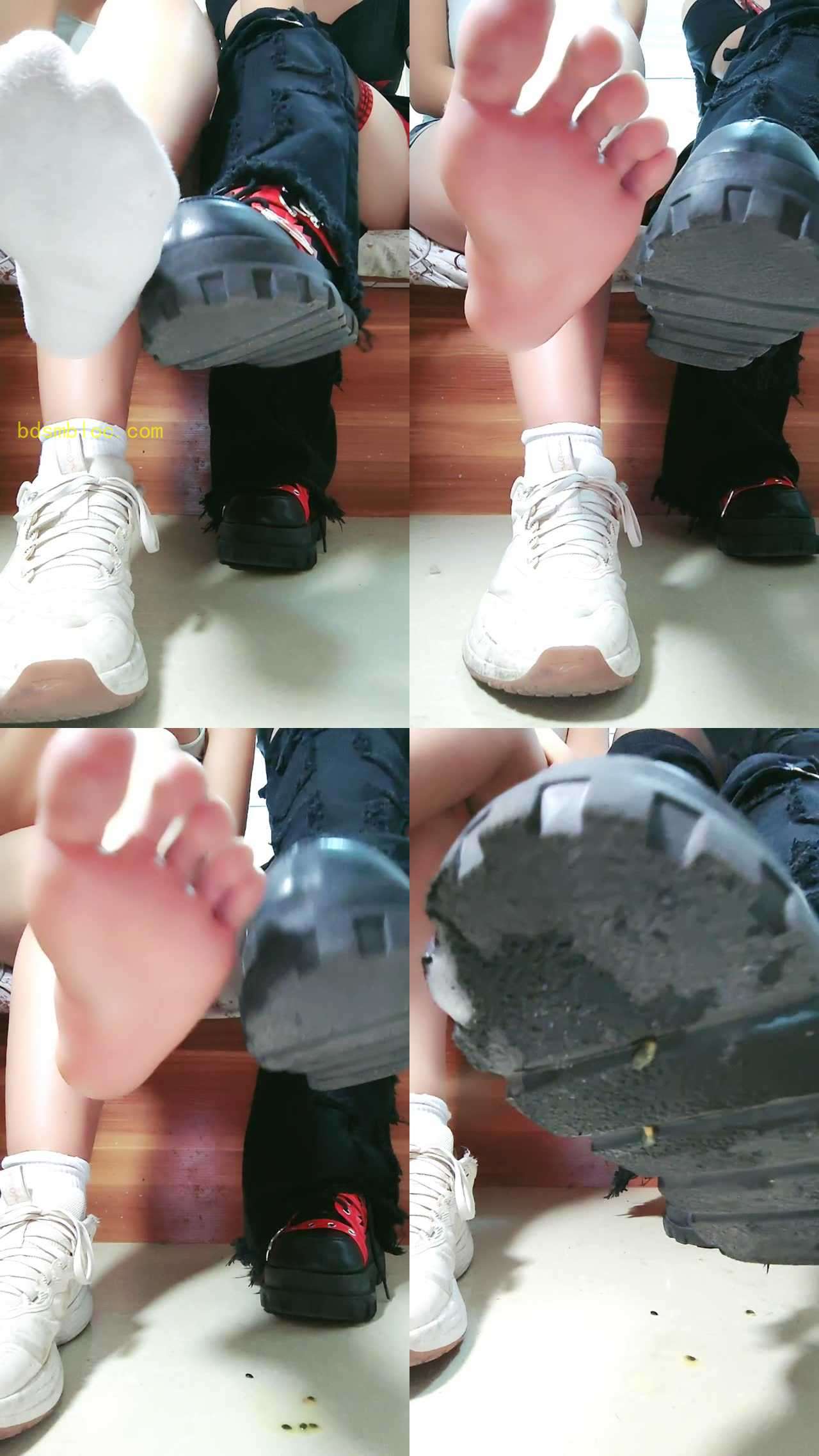 【柠柠】第一视角两个高中主人要傻逼