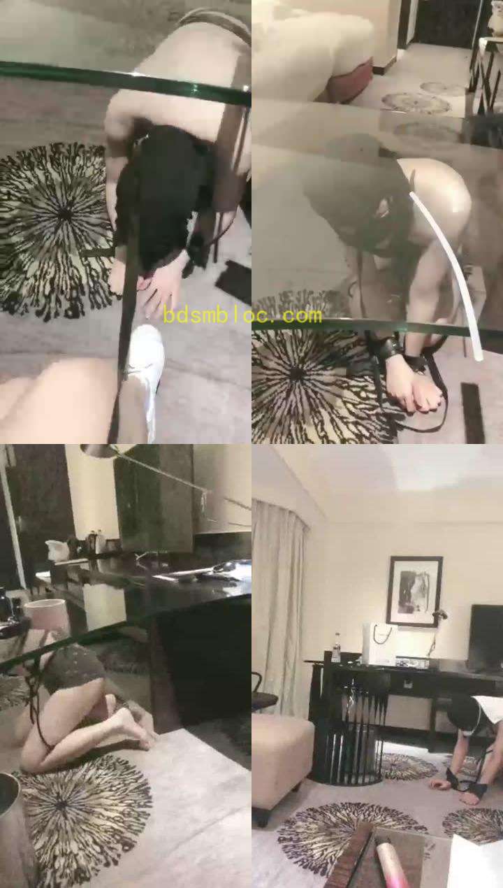 【百变女王鹿】你懂的