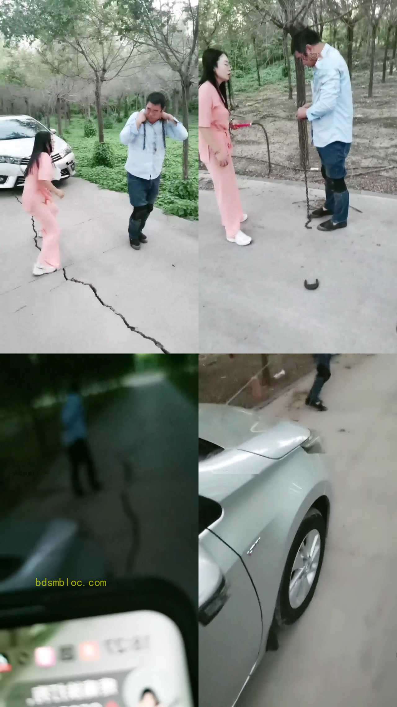 【白兰地S】贱狗拉车拉不好灶鞭打