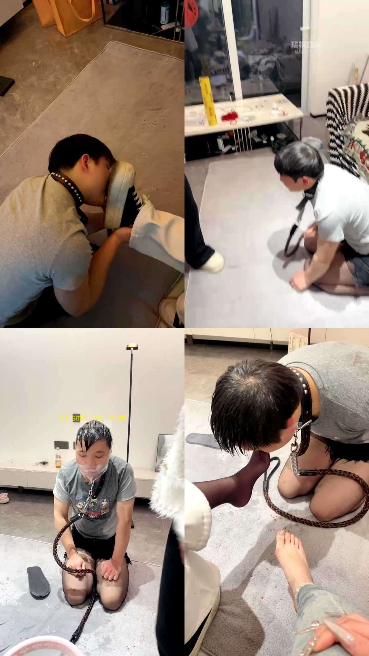 【蜡笔小新】开发邻居一起玩狗