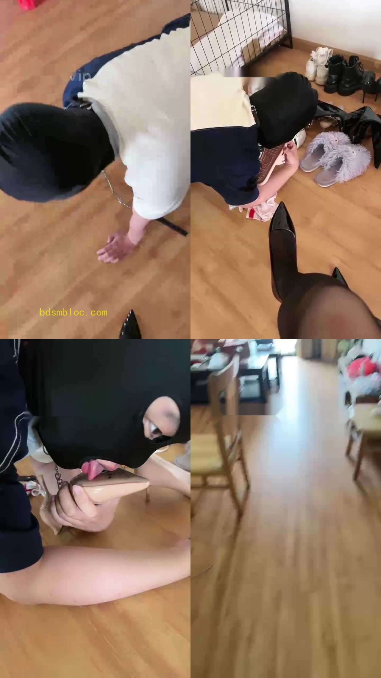 【猫咪大大】脚踩喂食/舔多双脏鞋底/做舔马桶