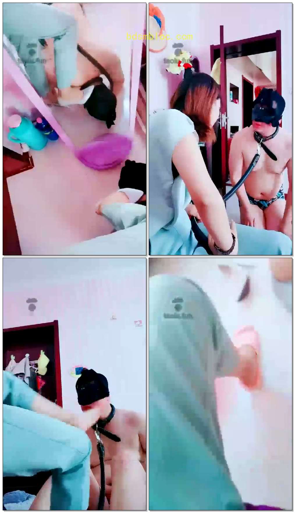 【心竹S】调教小新畜生
