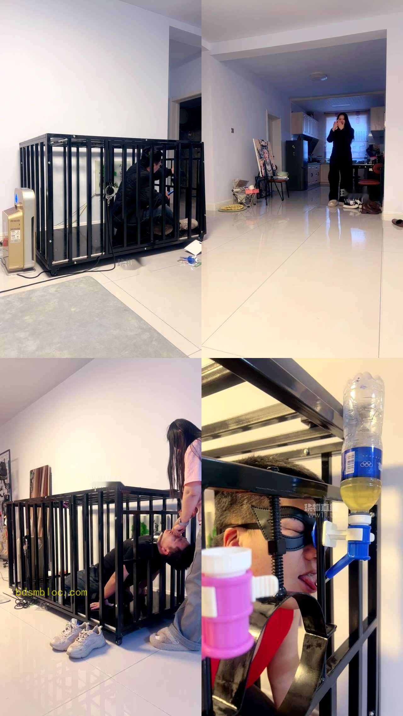 【贝拉s】一公一母两骚货