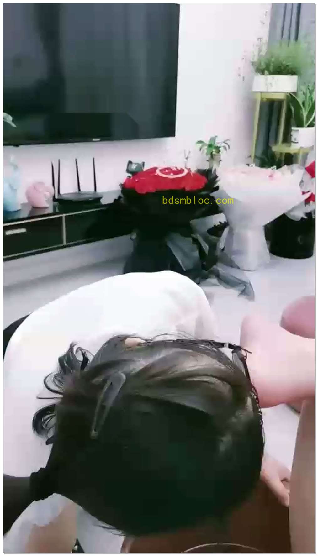 【清见S】女家奴日常