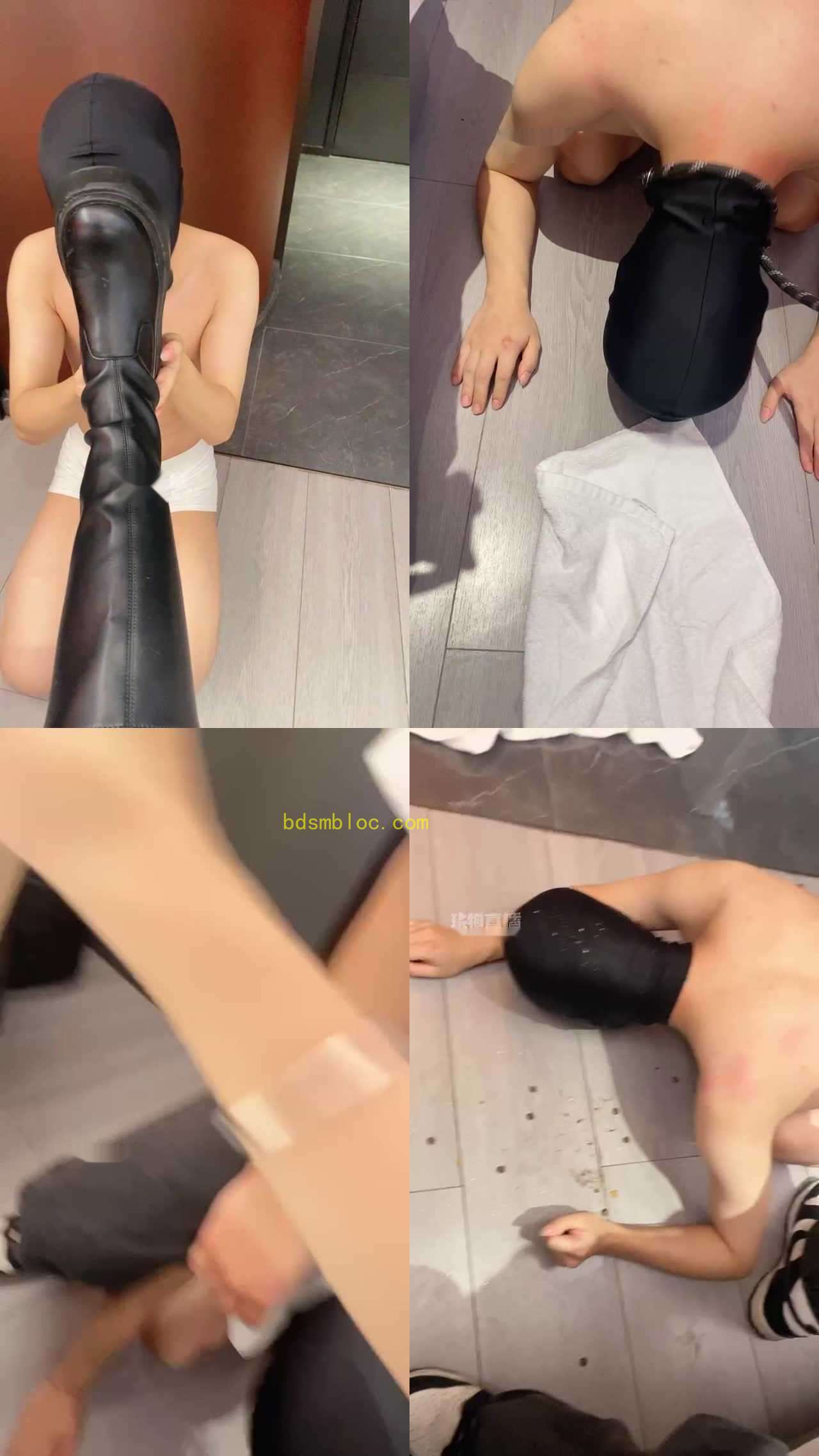 【蓓蓓S】情侣主调贱狗