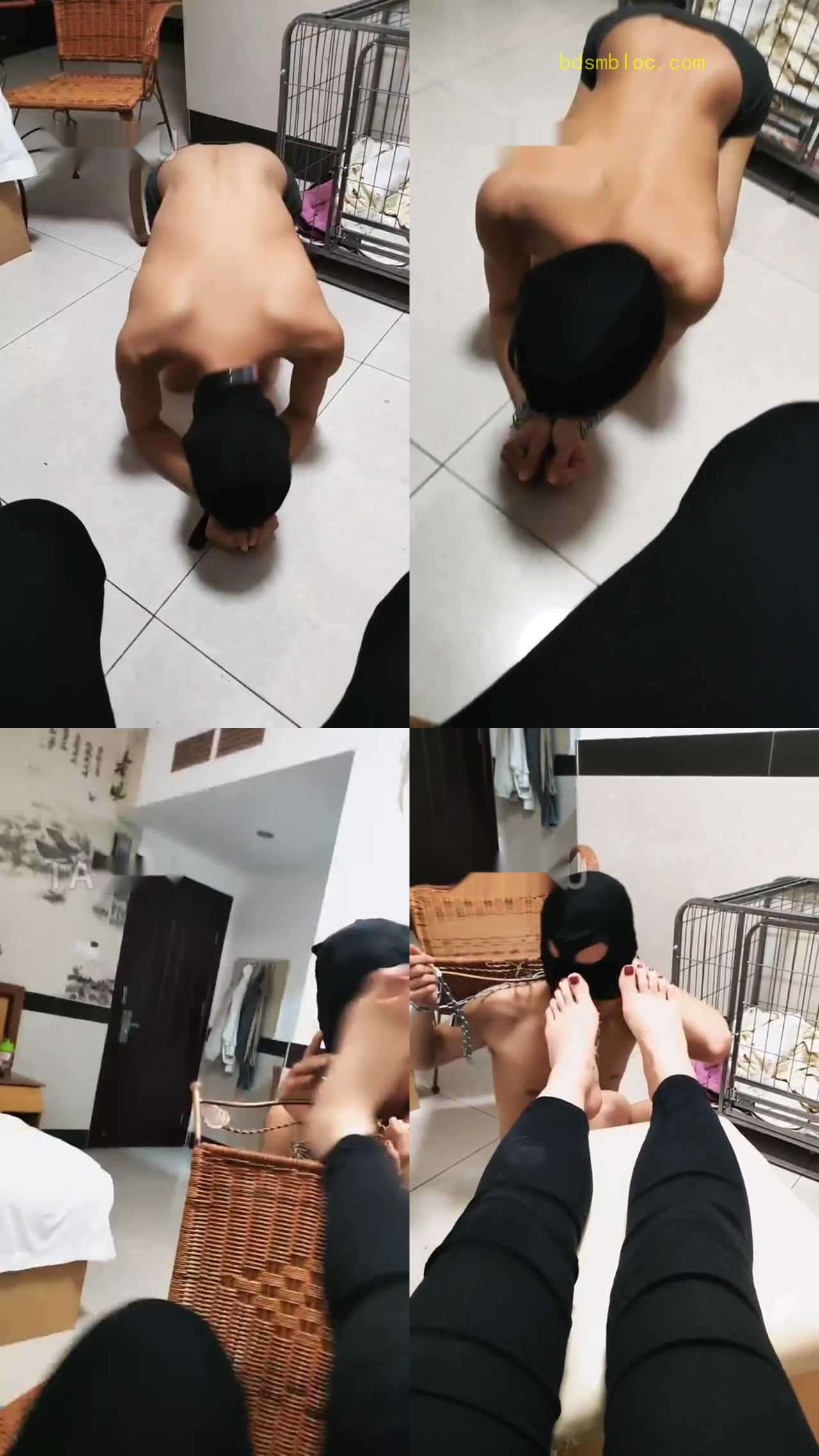 【超高能S】圈养奴一天的生活
