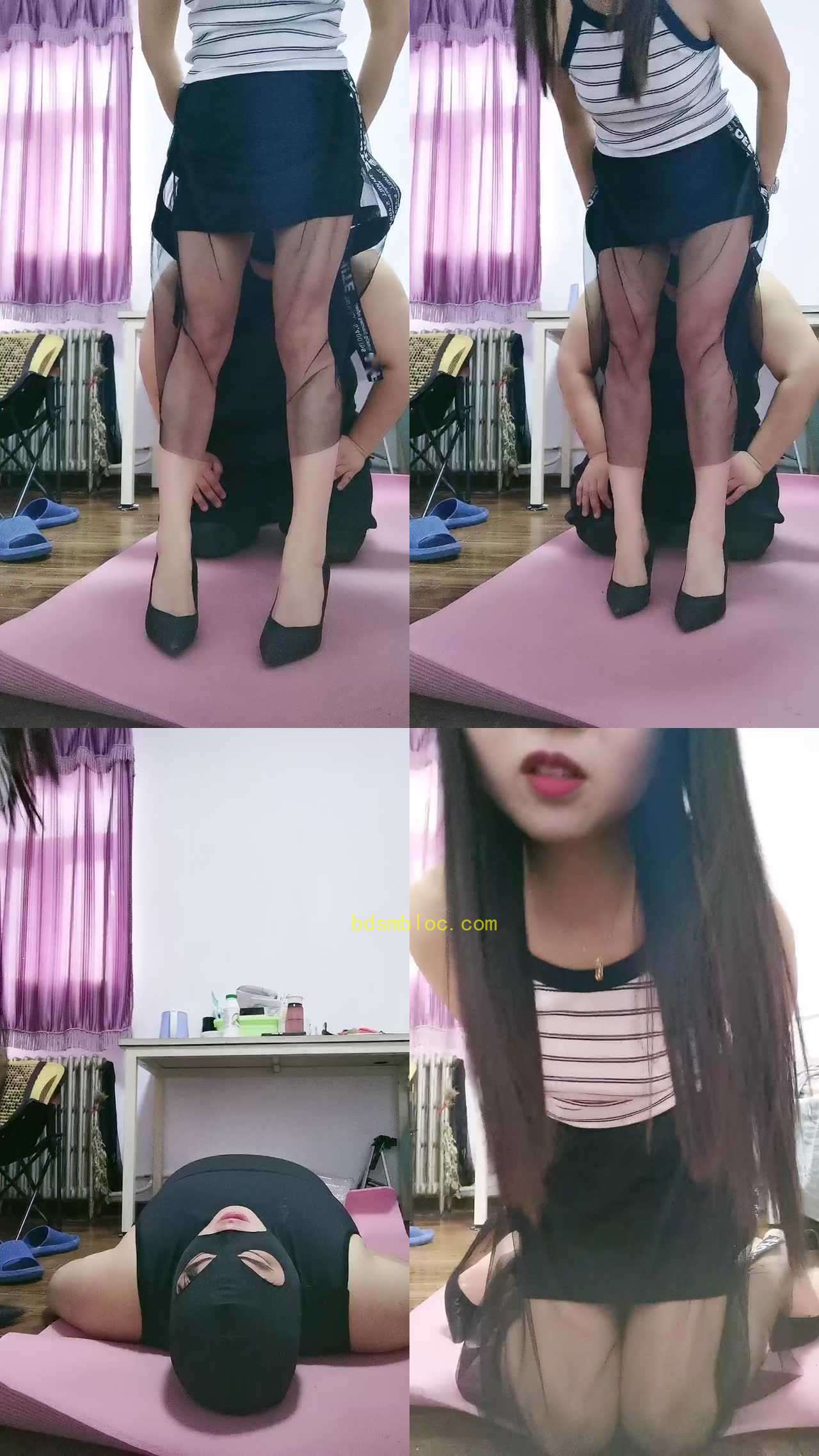 【白兰地S】小奶狗清理黄金菊花