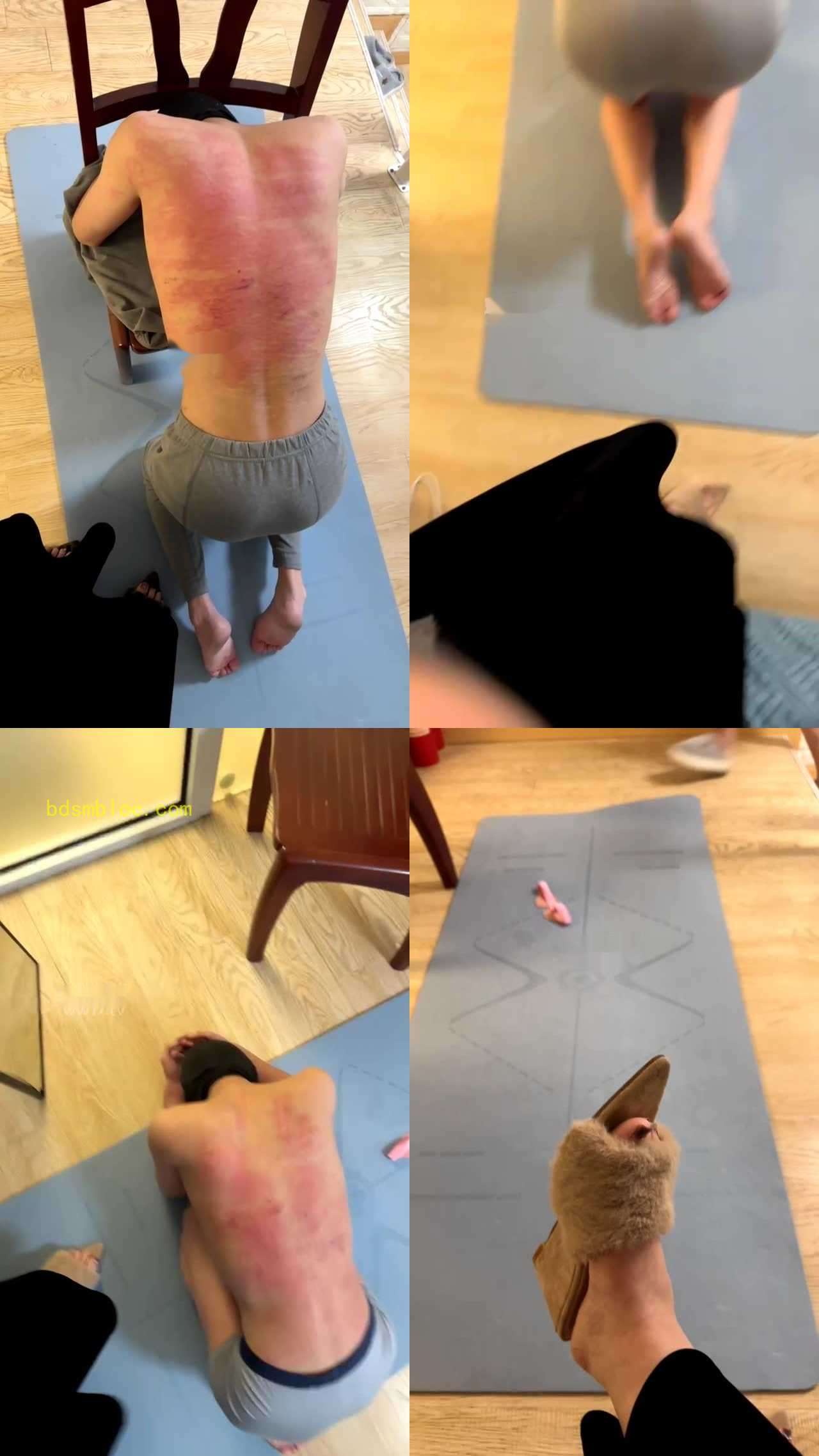 【百柔s苏州】第一视角虐狗sp专场