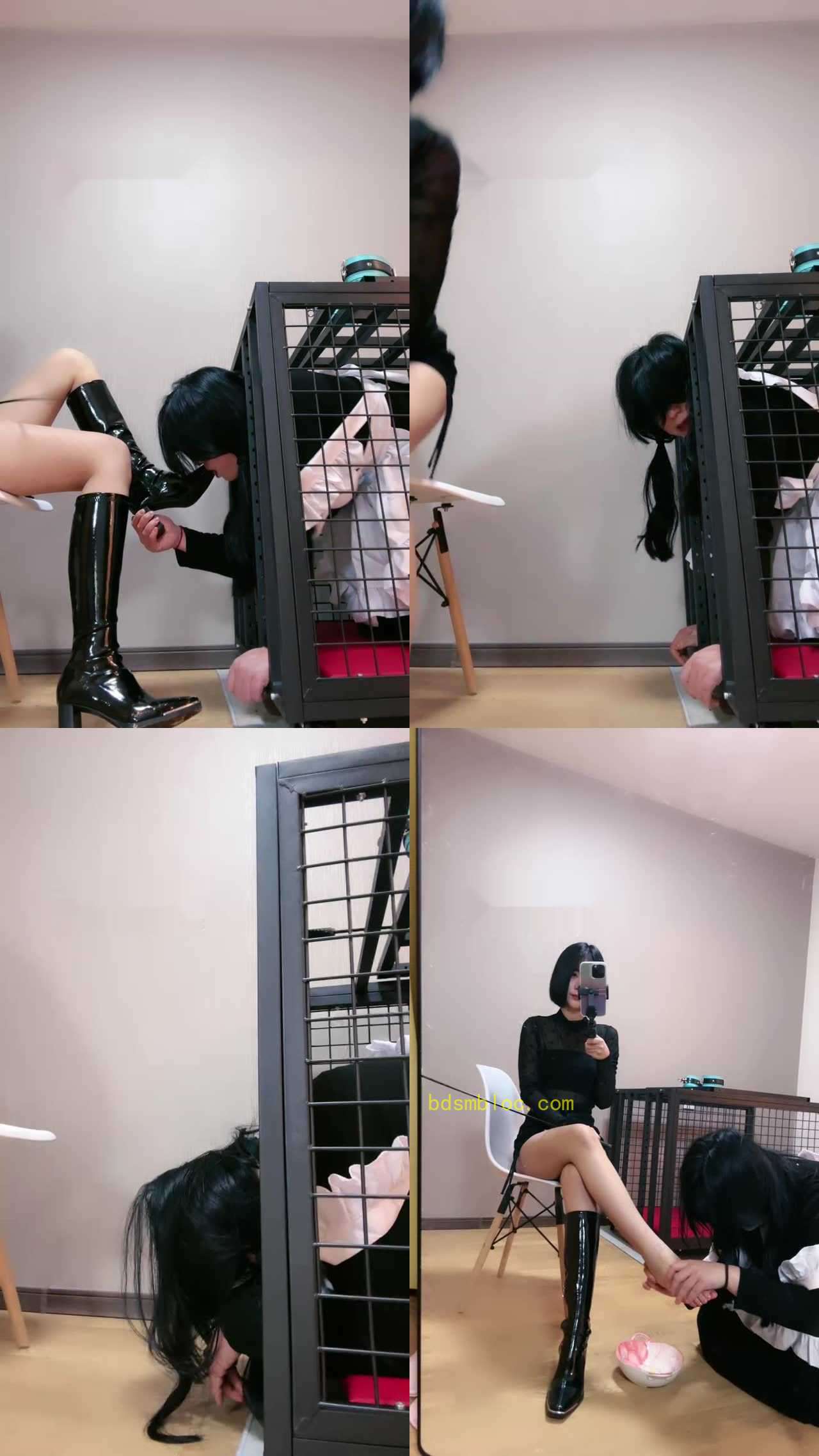 【维妮】你的女神被我关狗笼里