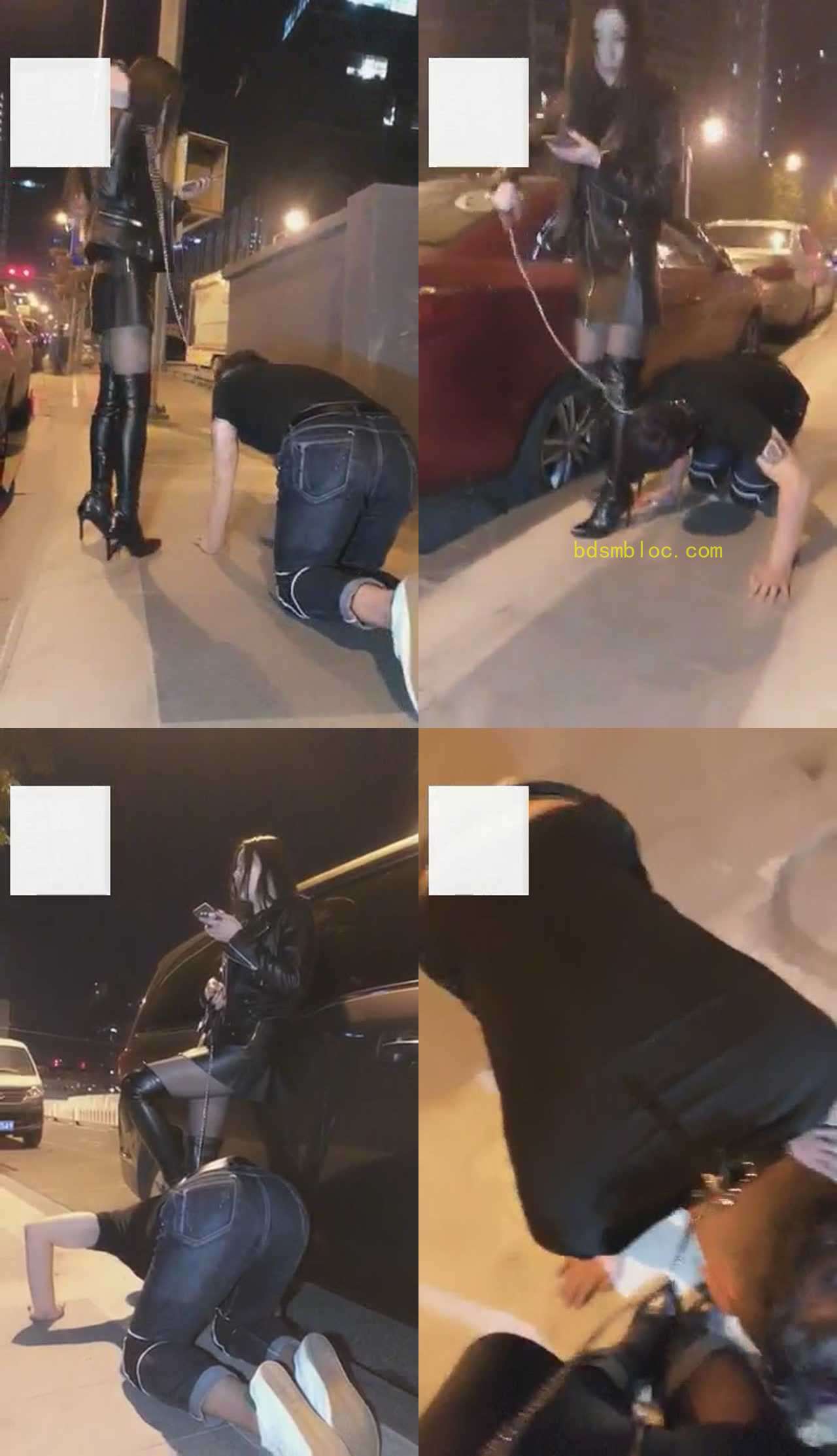 【艾丝】【VIVI】超刺激！午夜遛人形犬
