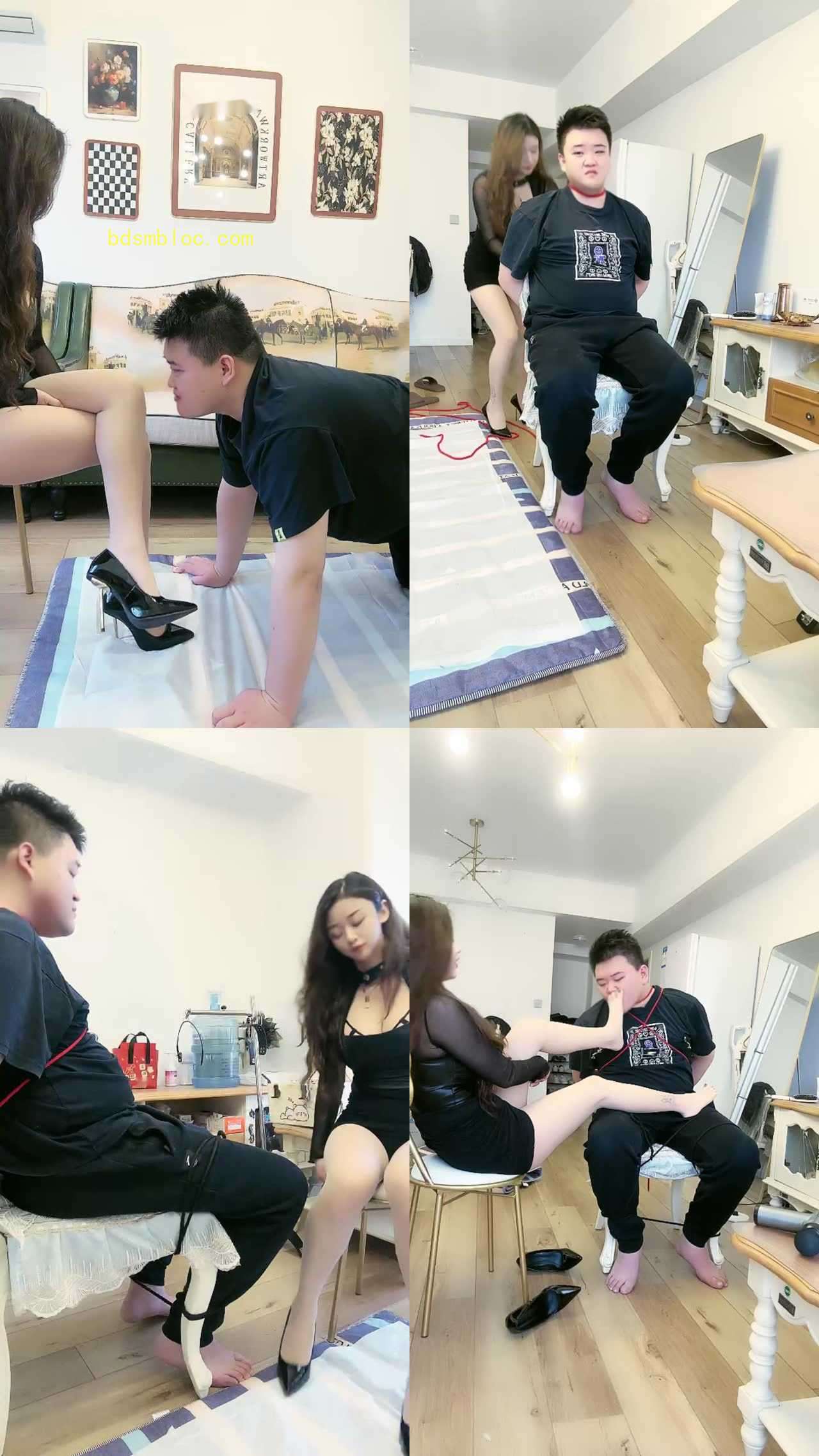 【泽莉Ss】第一次当狗没经验唯唯诺诺