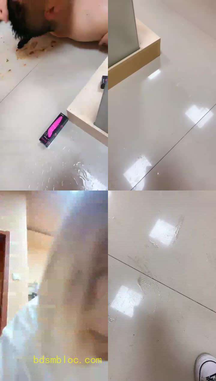 【梦樱】 调教贱狗  官方已删