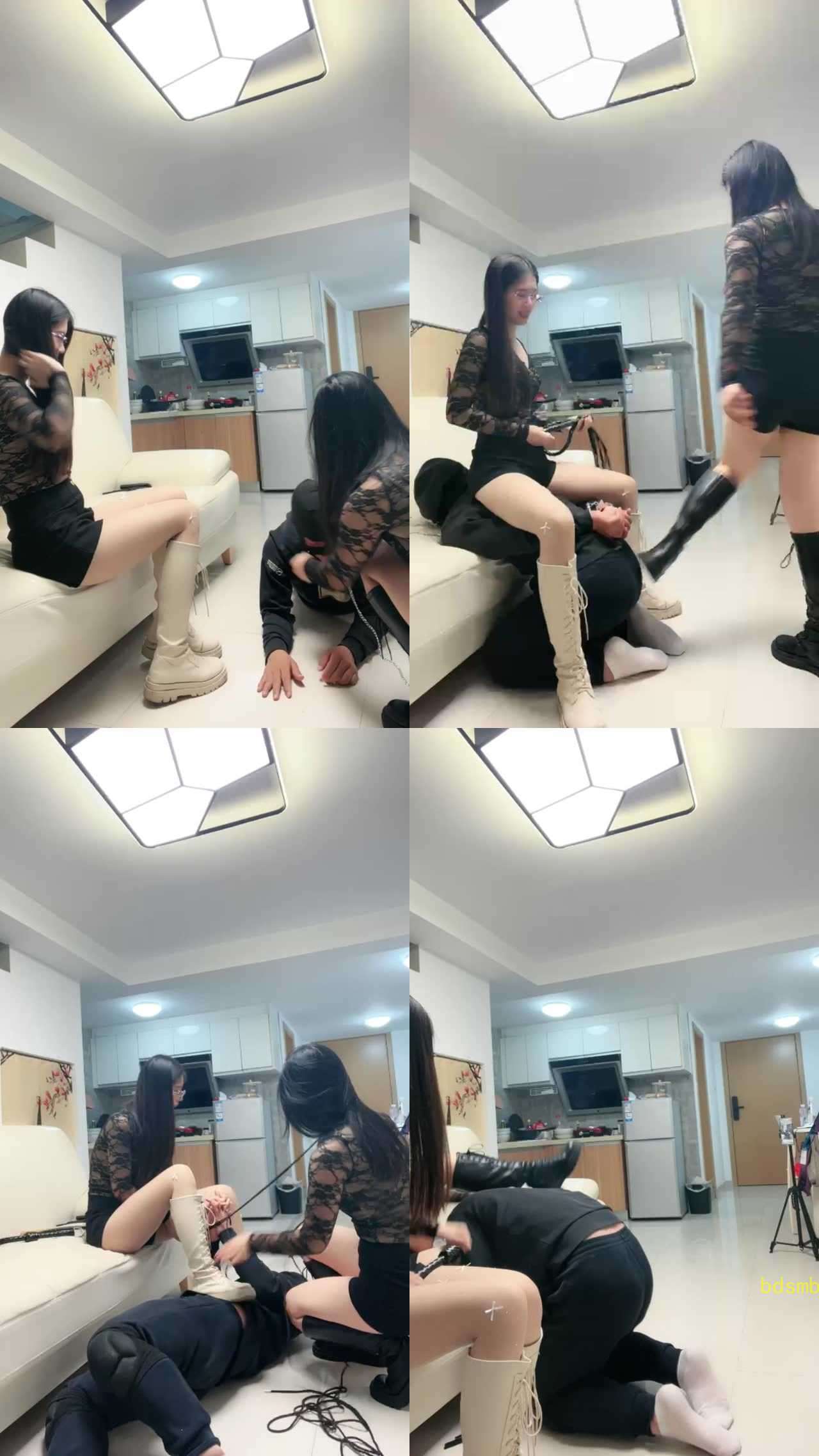 【我的猫S】黑色，白色靴子玩狗
