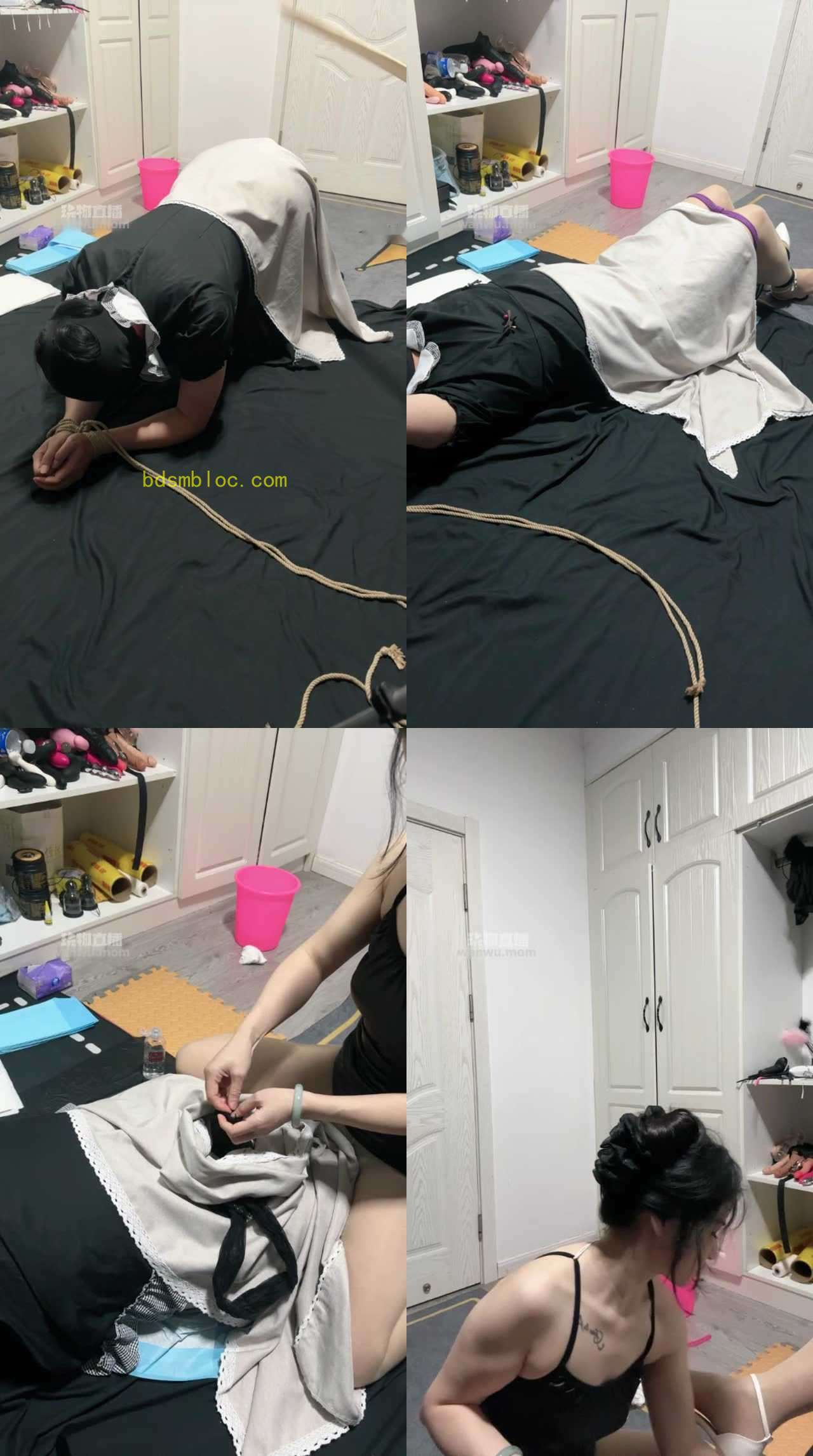 【上海女王白狐S】调教CD狗