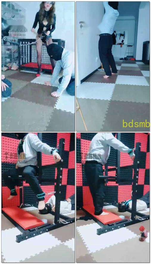 【就是喜欢玩啊】调双狗