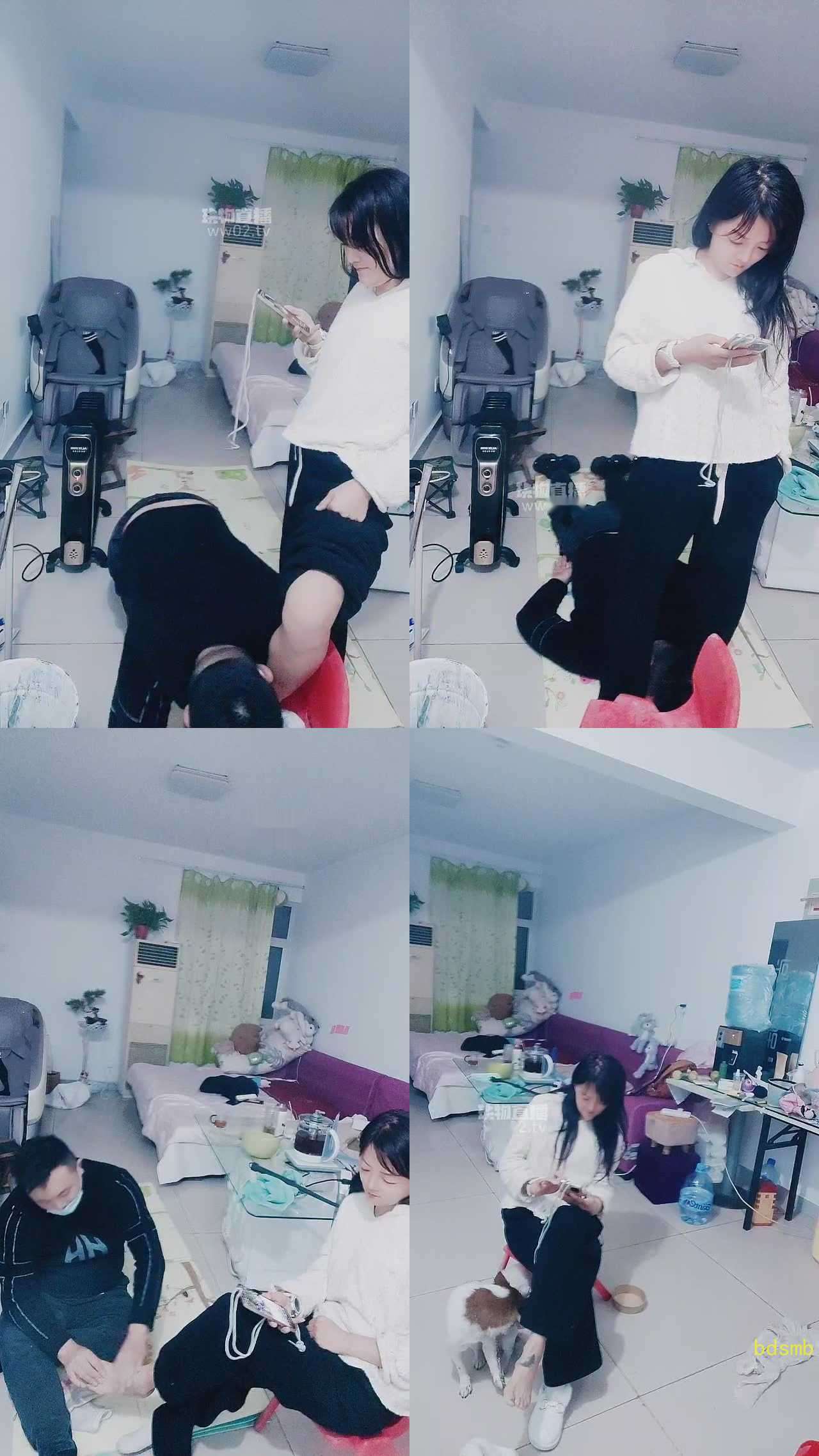【山兔莓】贱狗幸福生活