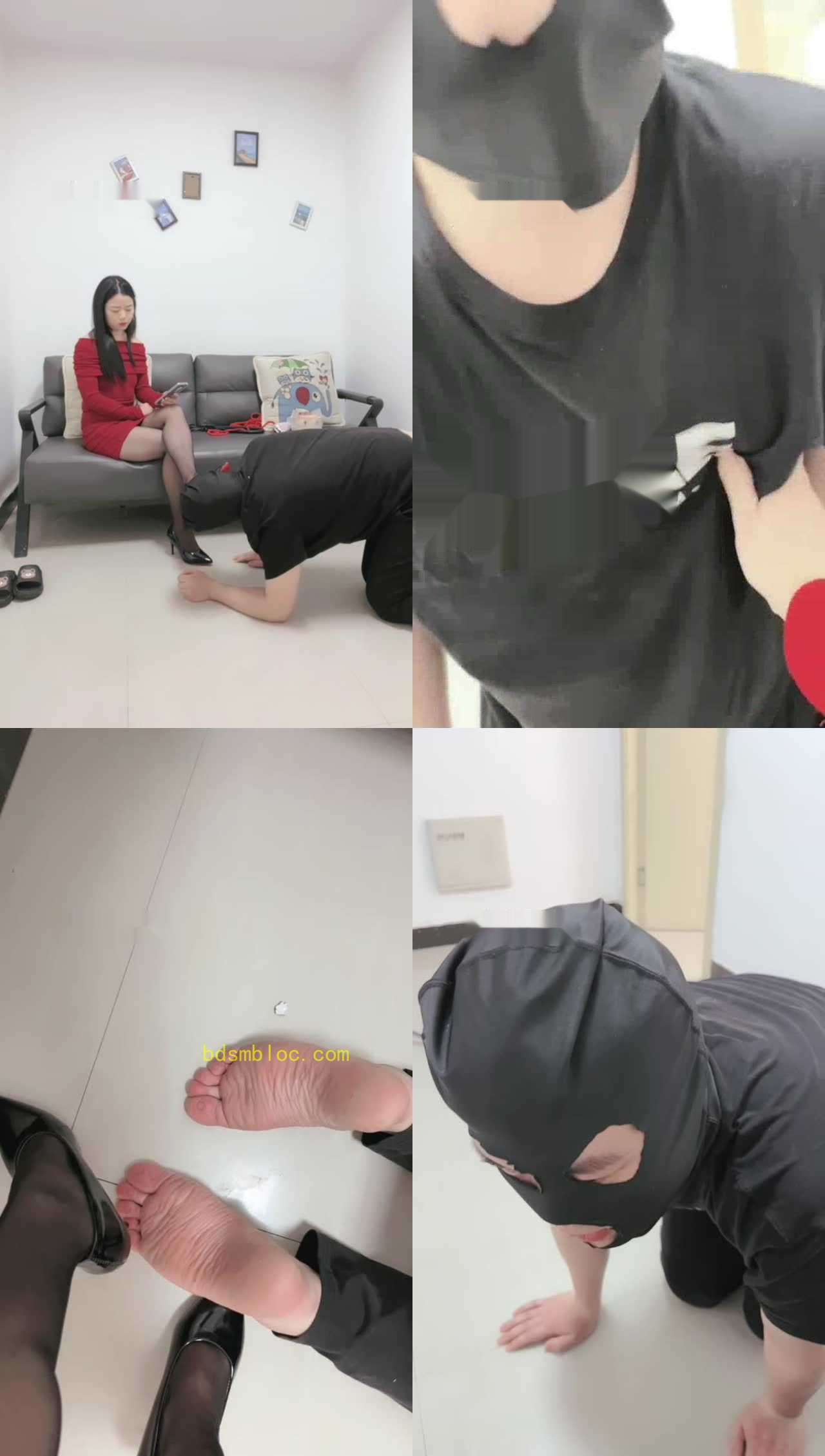 【清禾】虐废物畜生-踩踏/面包泡圣水/提档耳光/虐乳