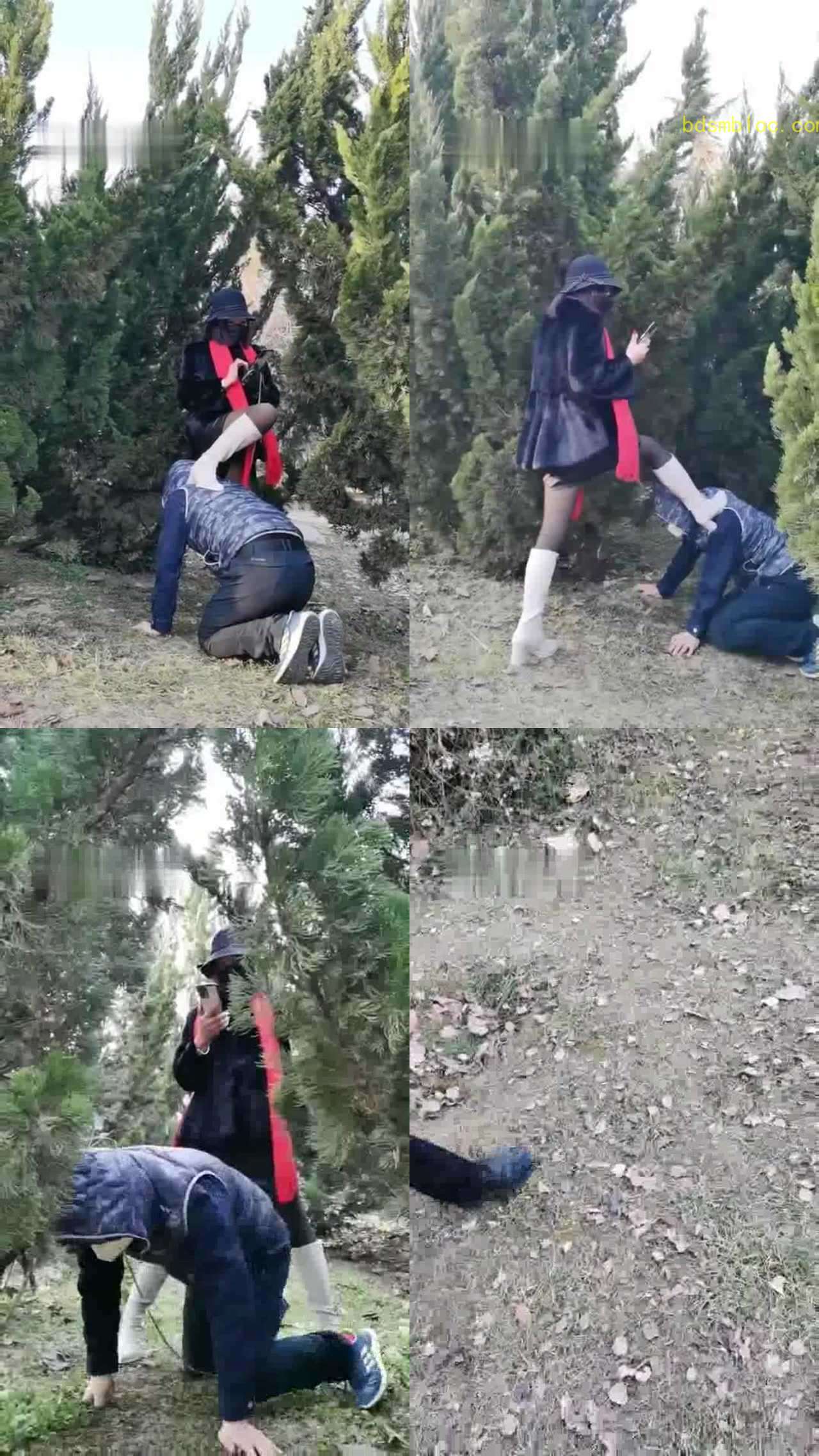 【乐爷】过年户外调狗
