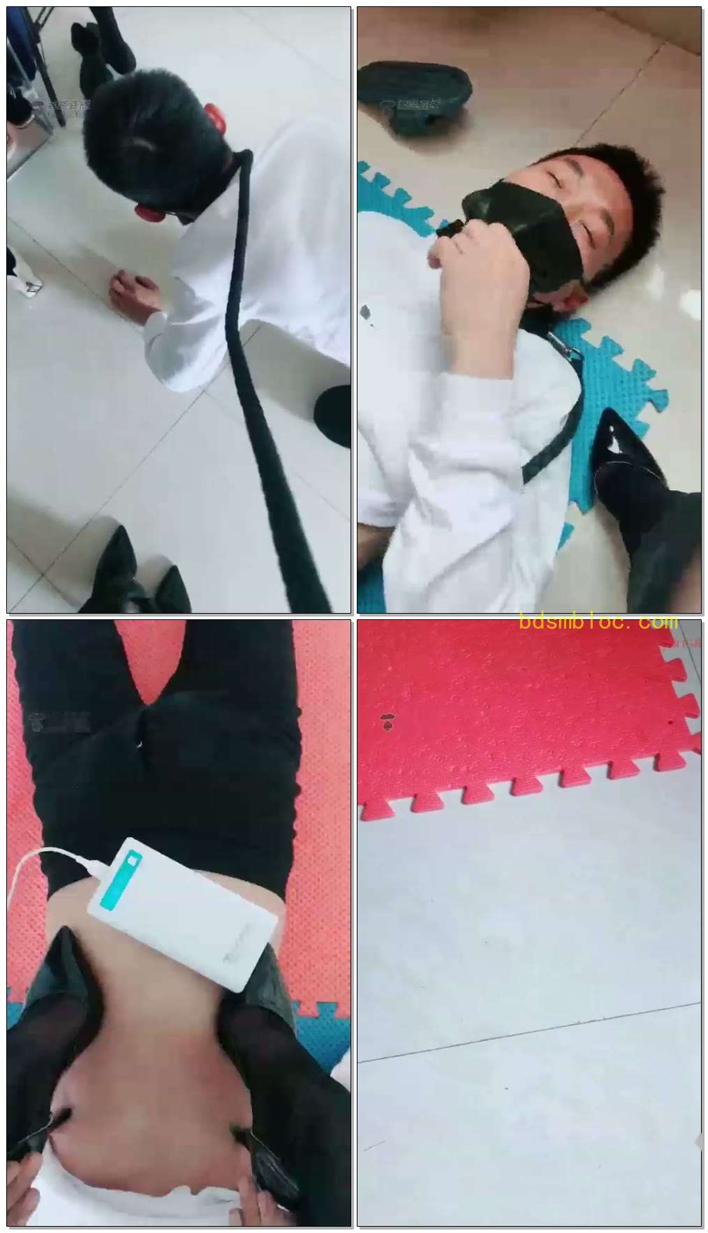 【聊城魅影S】发骚狗上门求虐