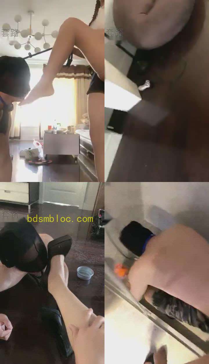 【女暴君】新人轻度综合调教