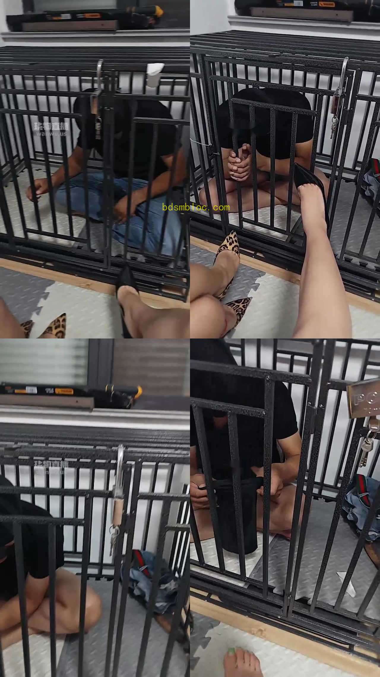 【羽薇s】喜欢圣水黄金双女主