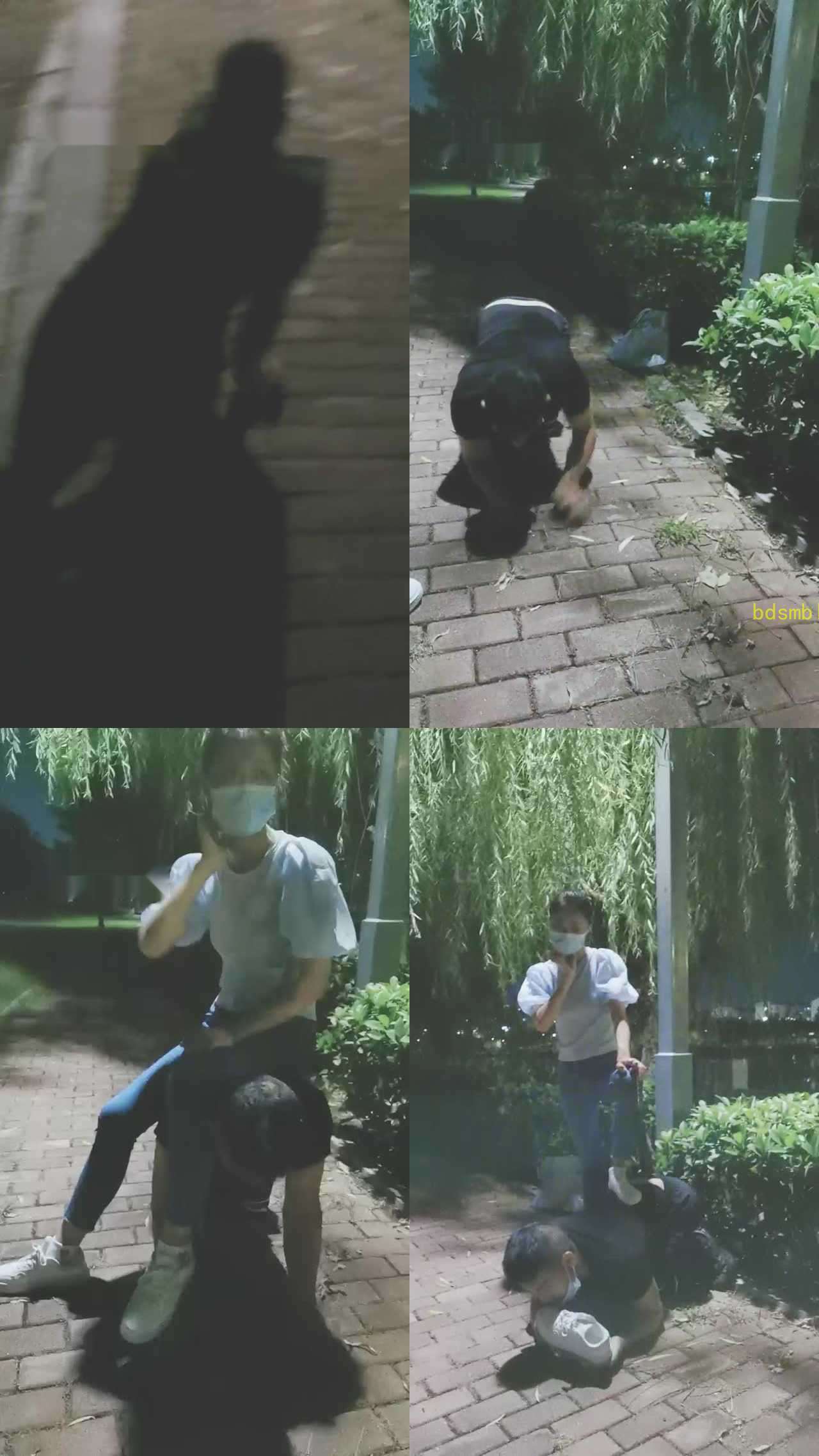 【凌儿】深夜户外-鞭打/小白鞋踩虐/舔脏鞋/骑马