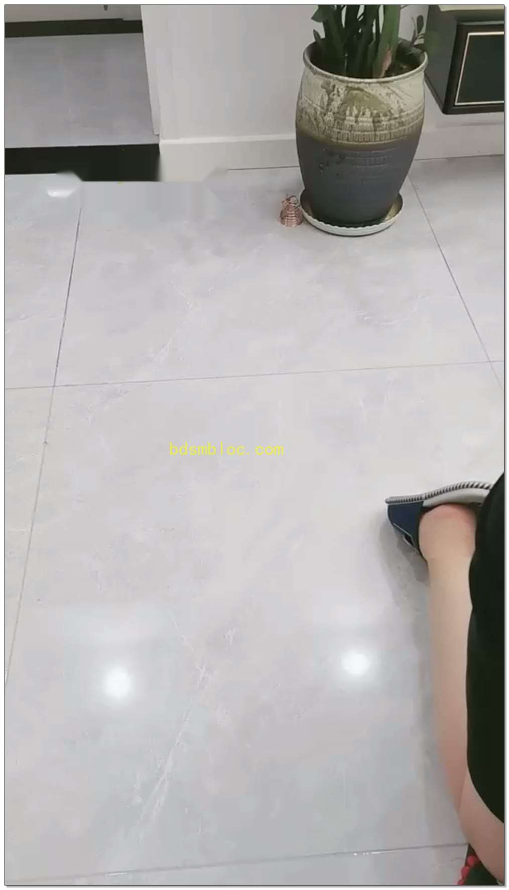 【清见S】调教女奴，第一次尝洪金