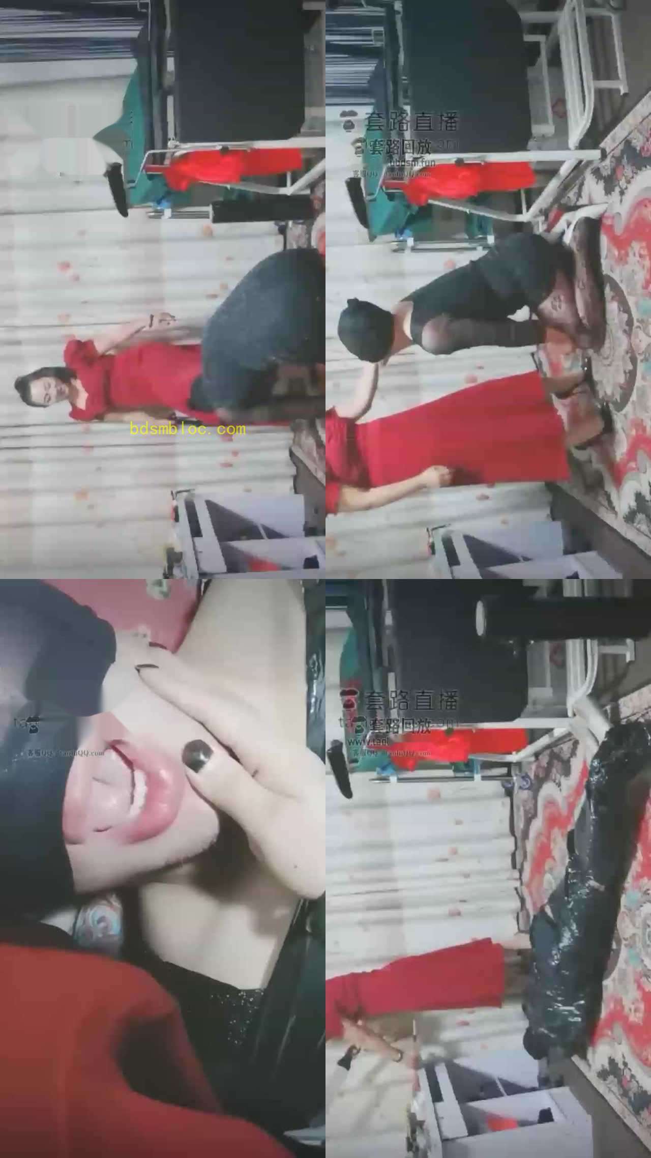 【西安女主冰爷】开发新手狗狗