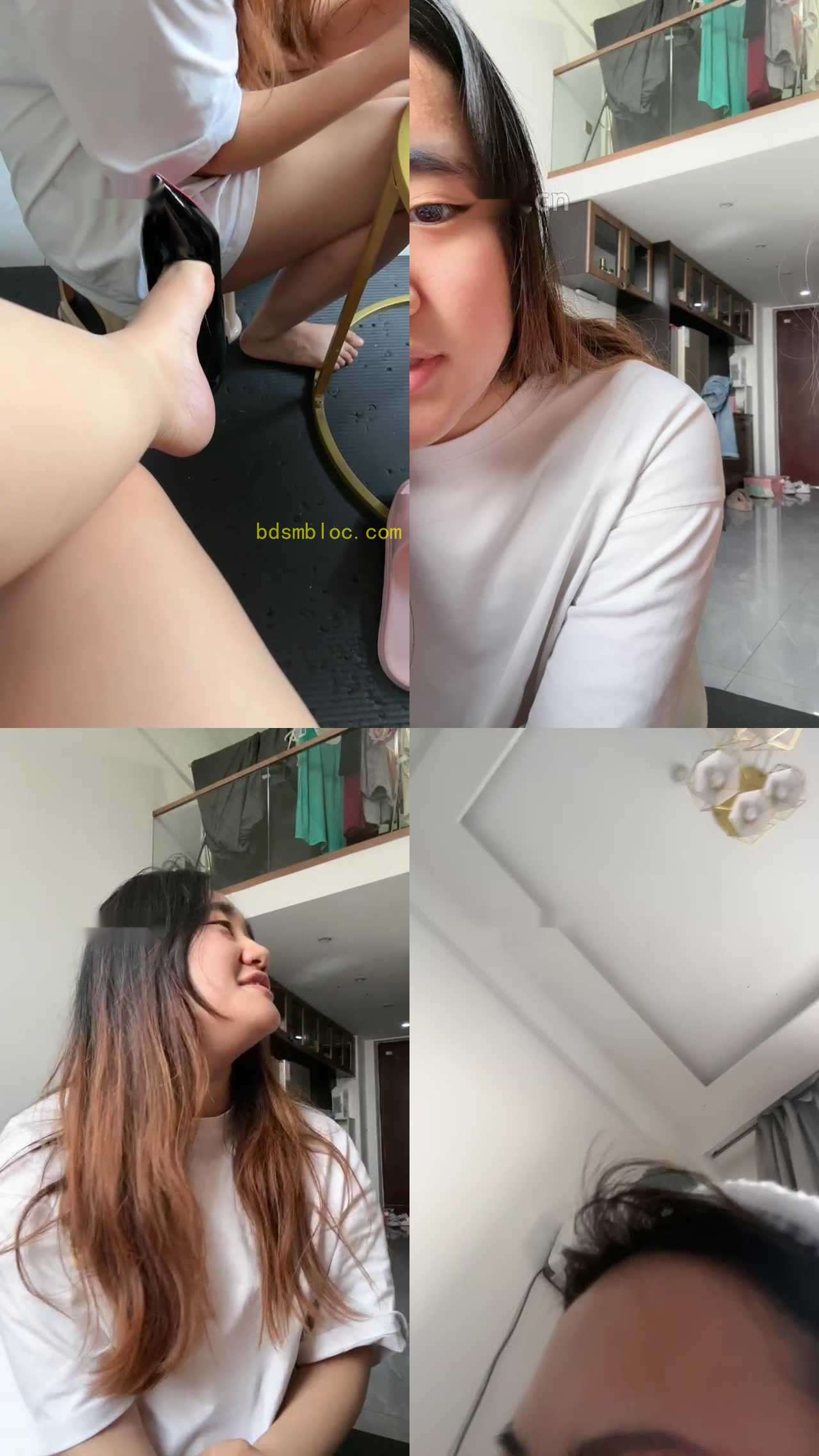 【July】你们的女神是我的狗