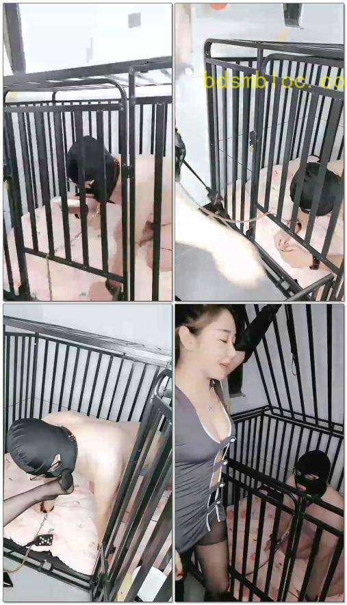 【上官婉儿s】畜牲吃祖宗嚼的咀嚼物维持生命