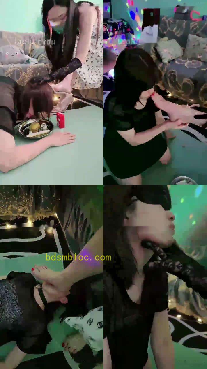 【柒柒】开发小白菜鸟