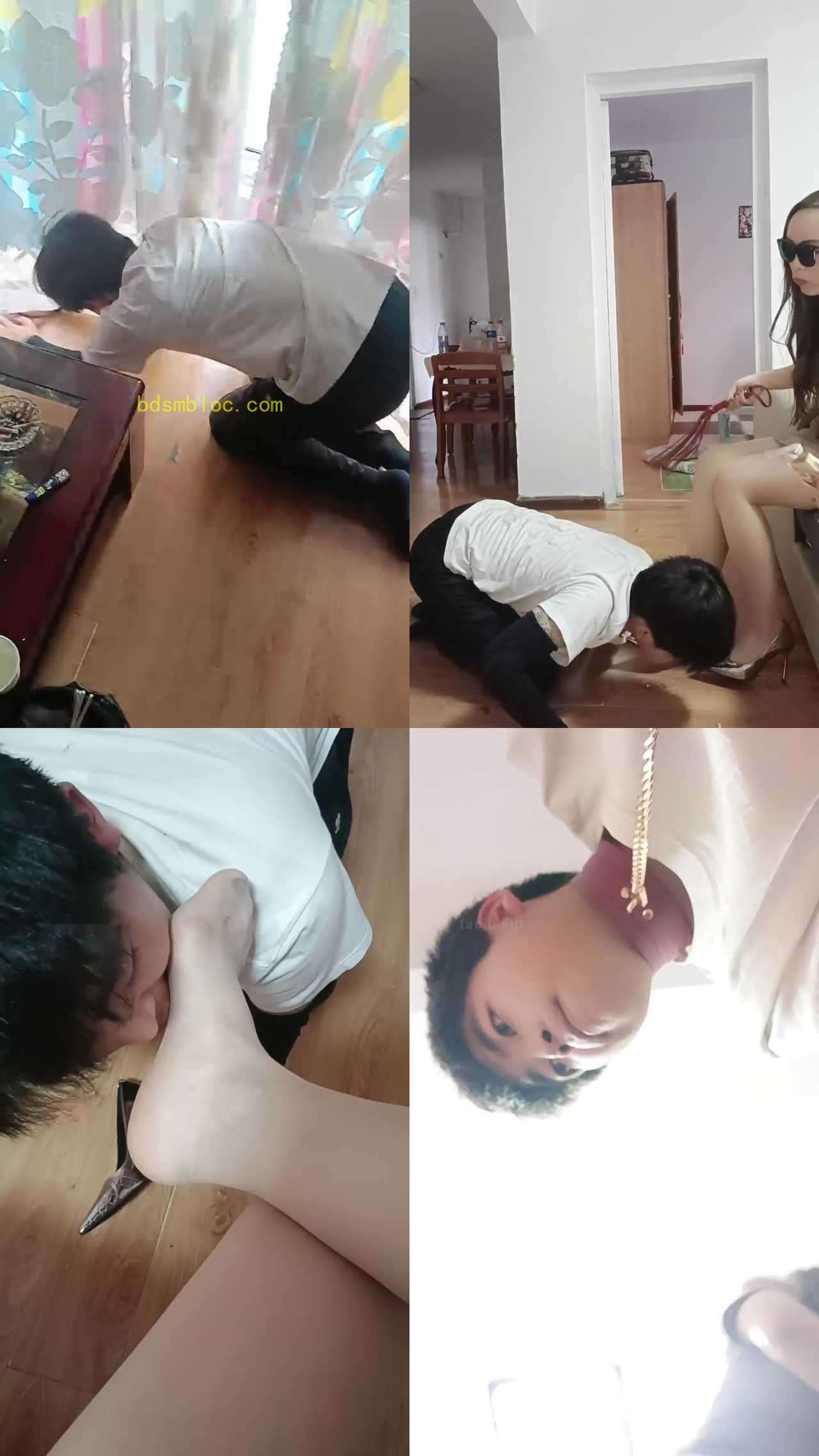 【平凡】开发学生宠物狗【上】