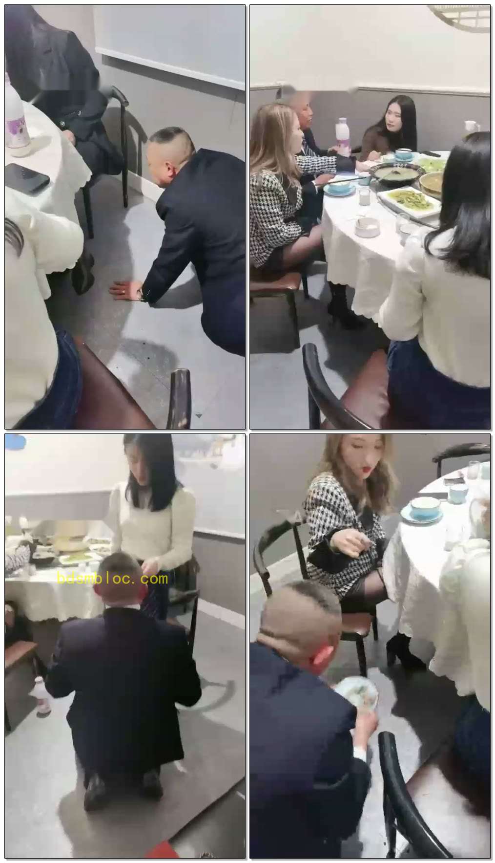 【成都六姐】四姐妹聚餐玩狗