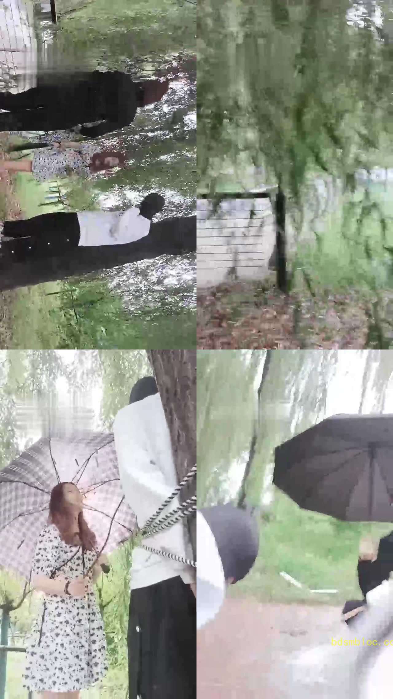 【古野S&amp;辰辰s】鞭打训练大三贱狗（双视角）