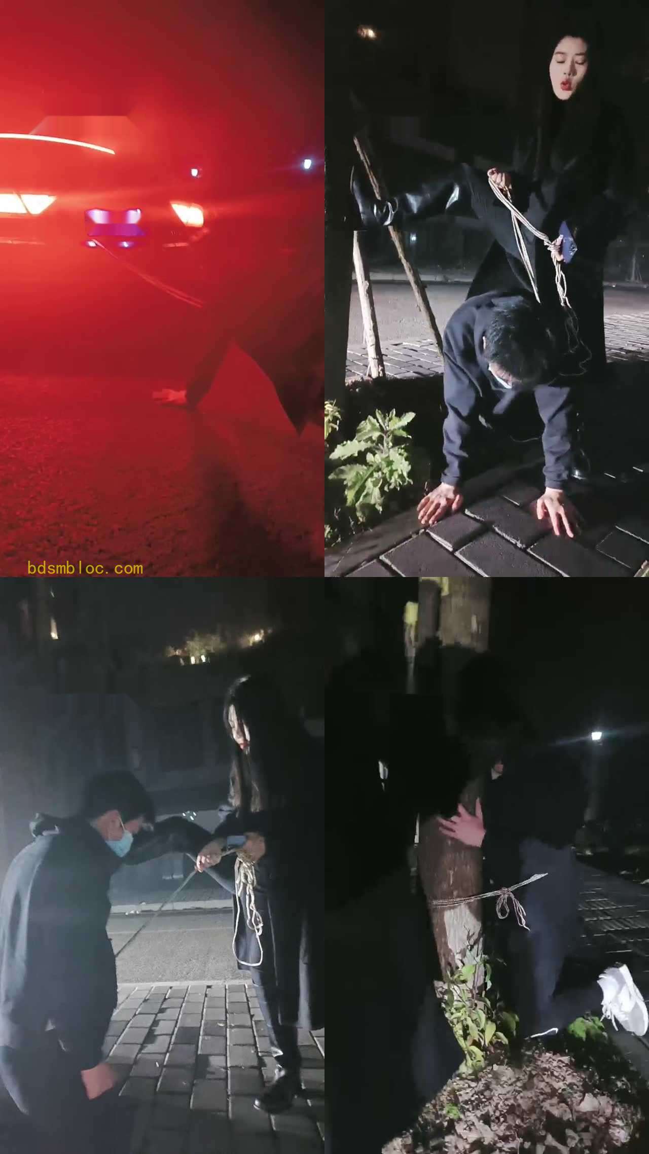 【昭玥】夜调-开车遛狗/骑马钻胯/绑树耳光