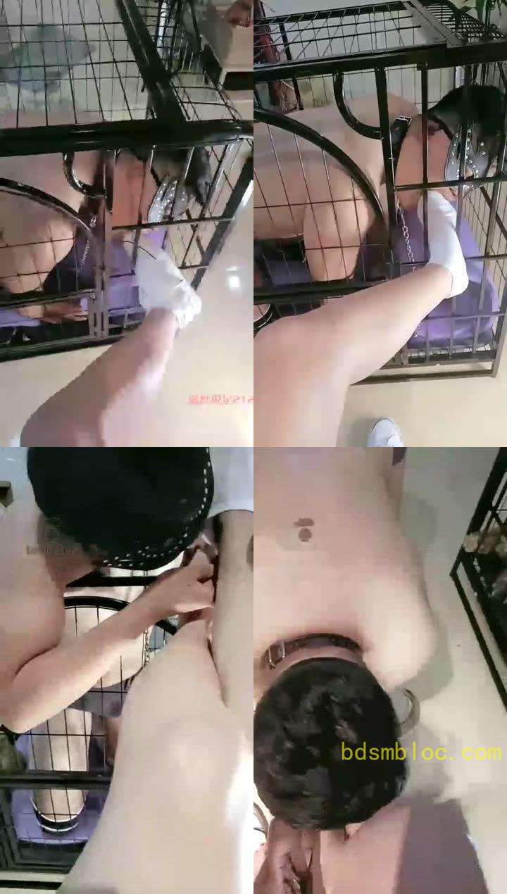 【林夕女王】把学生狗关笼子里玩，舔鞋底，舔棉袜，裸足，羞辱