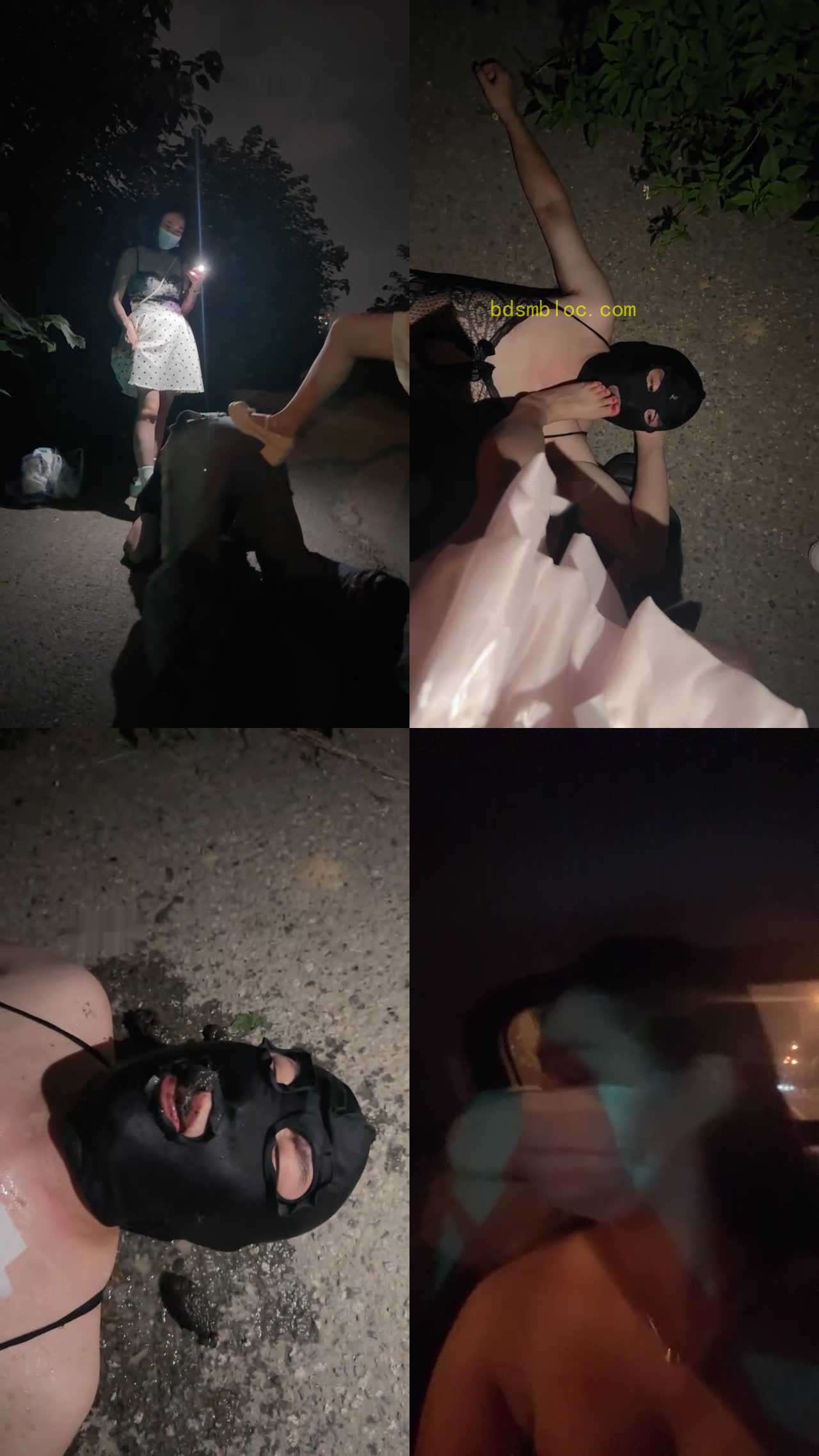 【桃欣大女主】糖糖，小拽主人，桃欣大女主，尾随狗让他轮流吃屎
