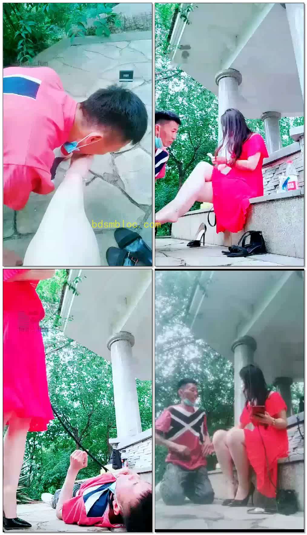 【聊城魅影】继续野外调狗