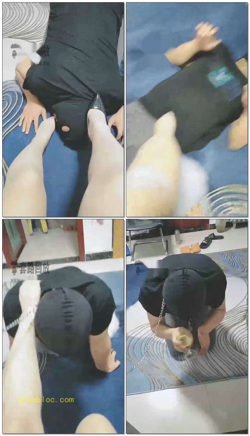 【魔鬼天使女王】赏狗圣水