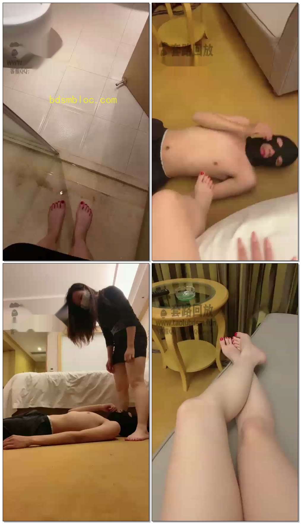 【Aki粤语女王】狗儿子犯贱来了