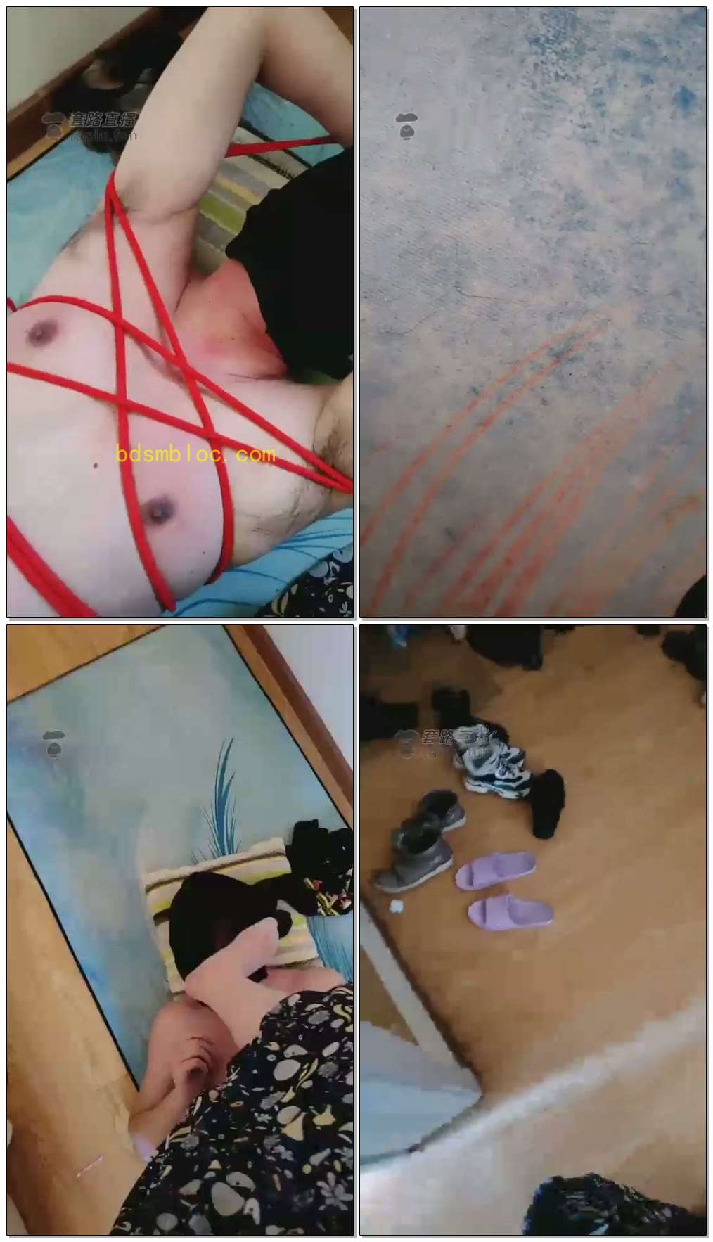 【哈市晴天】玩狗滴蜡提档