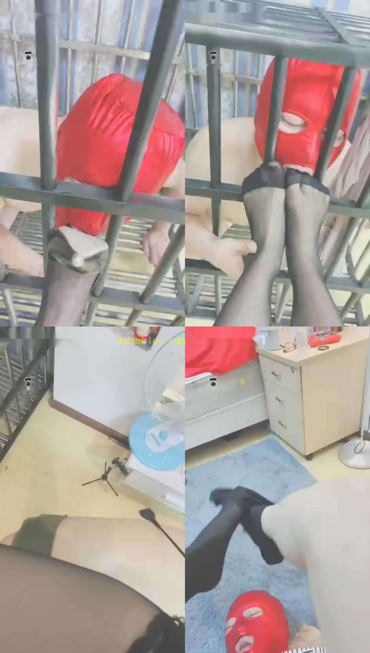 【贵阳妖妖女王】暴雨也阻止不了狗狗来，狗笼调教